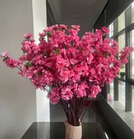CHERRY BLOSSOM